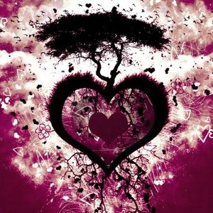 Meet your Posher, Isabella